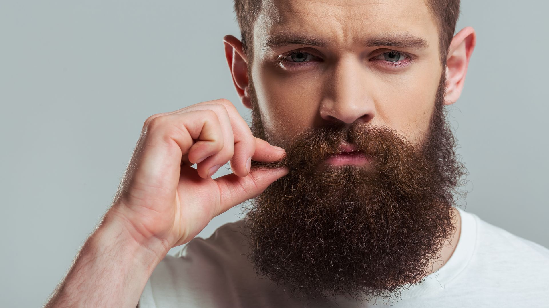 beard transplant